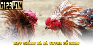 Bí quyết soi kèo thắng lớn tại 0123QWIN