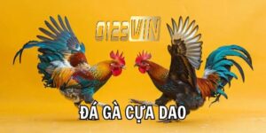 Hướng dẫn tham gia đá gà cựa dao 0123WIN
