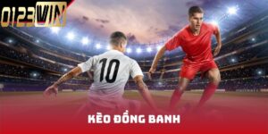 Hướng dẫn tham gia kèo đồng banh